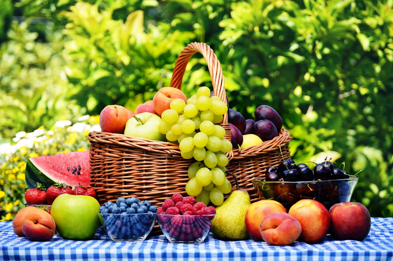 naturopatia